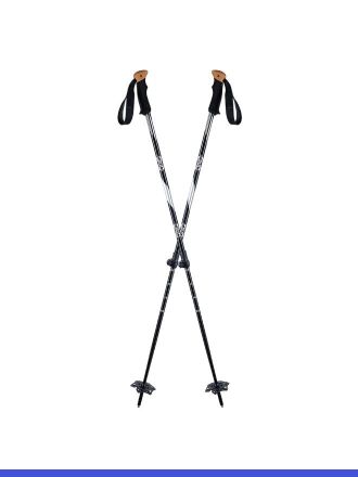 Skiing and Snowboarding