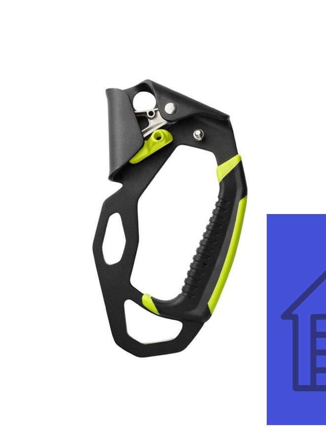 New Project - 2024-10-01T121542.734.jpg