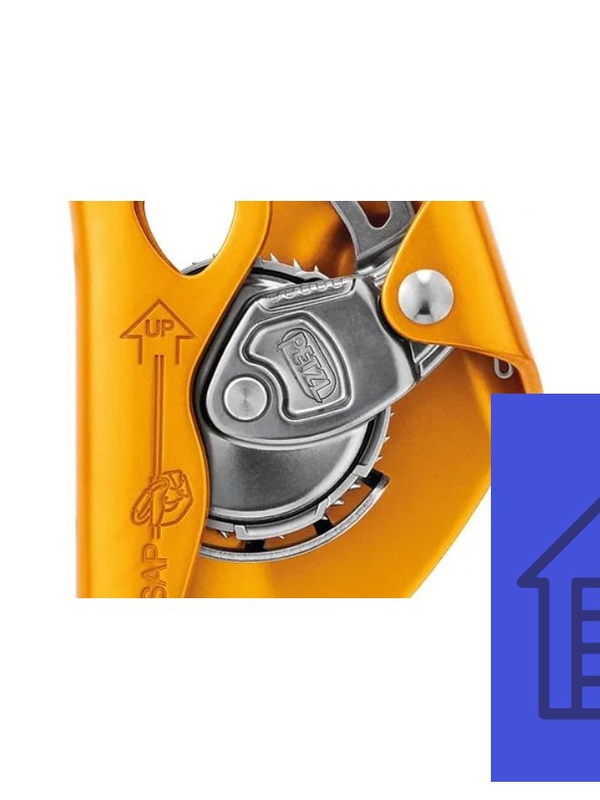 New Project - 2024-10-01T123008.897.jpg